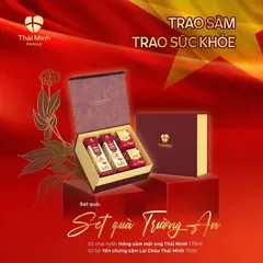Set Nước Hồng Sâm Thái Minh Mật Ong và Yến Chưng Sâm Lai Châu - Bộ Quà Tặng Bồi Bổ Sức Khỏe Sang Trọng, Dinh Dưỡng Tuyệt Vời