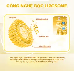 Mặt Nạ Wonjin Effect Water Toning - Mặt Nạ Dưỡng Sáng Da Hàn Quốc, Cấp Ẩm, Cải Thiện Sắc Tố Da, Hỗ Trợ Làm Sáng Da Xỉn Màu