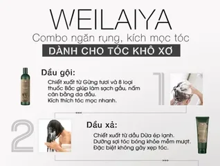 Cặp Dầu Gội Xả Gừng Hà Thủ Ô Weilaiya Zingiber Officinale Juice - Giúp Tóc Phục Hồi, Ngăn Gãy Rụng, Thơm Mát, Dành Cho Tóc Yếu, Hư Tổn