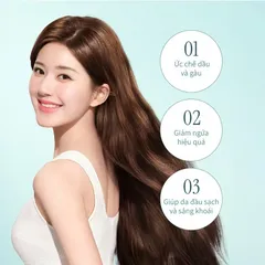 Dầu Gội Chando Himalaya Chống Gàu & Giảm Ngứa - 600ml Dầu Gội Dịu Nhẹ Từ Thiên Nhiên Cho Da Đầu Nhạy Cảm