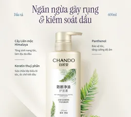 Dầu xả Chando Himalaya Ngăn Gãy Rụng & Kiểm Soát Dầu - Chăm Sóc Tóc Khỏe Mạnh, Hương Thơm Dịu Nhẹ, 600ml