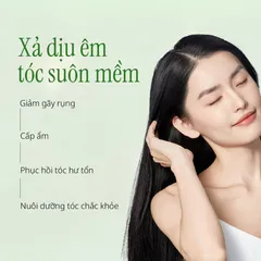 Dầu xả Chando Himalaya Ngăn Gãy Rụng & Kiểm Soát Dầu - Chăm Sóc Tóc Khỏe Mạnh, Hương Thơm Dịu Nhẹ, 600ml