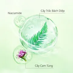 Dầu xả Chando Himalaya Ngăn Gãy Rụng & Kiểm Soát Dầu - Chăm Sóc Tóc Khỏe Mạnh, Hương Thơm Dịu Nhẹ, 600ml