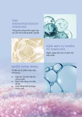 Sữa Dưỡng Sáng Da Chando Himalaya Time Frozen Emulsion - Cấp ẩm, Làm Sáng Da, 120ml - Hỗ Trợ Da Xỉn Màu, Đều Màu, Tươi Tắn Rạng Rỡ