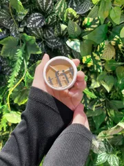 Kem che khuyết điểm Tfit Cover Up Pro Concealer 15g