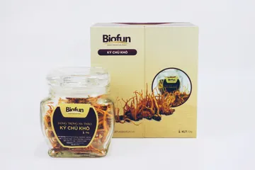 Đông Trùng Hạ Thảo Ký Chủ Khô Biofun - Thực Phẩm Bổ Sung Hỗ Trợ Tim Mạch, Tăng Cường Sức Đề Kháng và Cải Thiện Sức Khỏe
