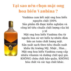 Mật Ong Hoa Biển Vanbina Nguyên Chất 600ml - Thức Uống Kiêng Giàu Dinh Dưỡng, Hỗ Trợ Đốt Mỡ, Chất Lượng Xuất Khẩu Việt Nam