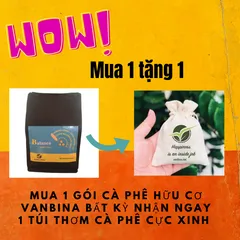 Cà Phê Hữu Cơ Rang Mộc Balance Culi Cầu Đất Vanbina - Hương Vị Nguyên Chất Robusta & Arabica - Thức Uống Cao Cấp Việt Nam
