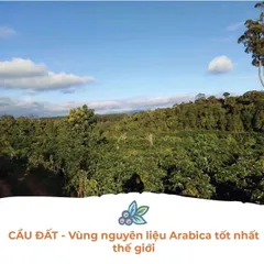 Cà Phê Hữu Cơ Rang Mộc Balance Culi Cầu Đất Vanbina - Hương Vị Nguyên Chất Robusta & Arabica - Thức Uống Cao Cấp Việt Nam
