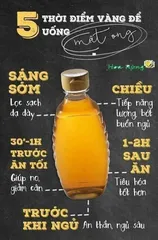 Combo 5 Chai Mật Ong Thiên Nhiên Nguyên Chất Vanbina - Món Quà Từ Thiên Nhiên Dành Cho Sức Khỏe