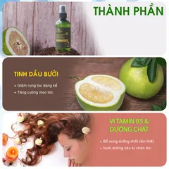 Nước Xịt Dưỡng Tóc Tinh Dầu Vỏ Bưởi Pomelo Tabaha 120ml - Giúp Ngăn Rụng Tóc, Kích Mọc Tóc Tự Nhiên, Cung Cấp Dưỡng Chất Cho Tóc Mềm Mượt