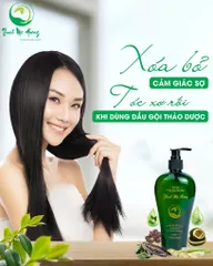 Dầu Gội Thanh Mộc Hương 350ml - Hỗ Trợ Giảm Nấm Gàu, Rụng Tóc, Không Silicon, Dưỡng Tóc Khỏe Mạnh, Thảo Dược Tự Nhiên