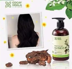 Dầu Gội Hà Thủ Ô 2in1 Cocayhoala - Hỗ Trợ Giảm Rụng Tóc, Kích Thích Mọc Tóc, Dưỡng Tóc Khỏe Mạnh