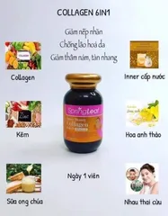 Viên Uống Collagen 6 In 1 Springleaf Inner Beauty của Úc - Hỗ Trợ Làm Đẹp, Trẻ Hoá Da, Tăng Cường Sức Khỏe Từ Bên Trong