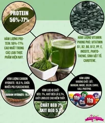 Tảo xoắn Nhật Bản Spirulina 2000 viên - Siêu thực phẩm tăng cường sức khỏe, bổ sung dinh dưỡng và hỗ trợ giảm cân hiệu quả.