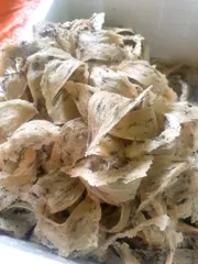 Yến Thô Nguyên Tổ Gia Lộc Khánh Hòa 100g - Tổ Yến Dinh Dưỡng Tự Nhiên, Giúp Tăng Cường Sức Khỏe và Làm Đẹp Da