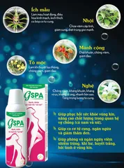 Nước Xông Ngâm Rửa Phụ Khoa GSPA 250ml - Dung Dịch Vệ Sinh Phụ Nữ Từ Thảo Mộc Thiên Nhiên, Giúp Khắc Phục Vấn Đề Phụ Khoa