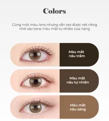 Kính Áp Tròng Eyesm Lady Brown Màu Nâu Tây - Lens Hàn Quốc Chống UV, Thích Hợp Độ Cận 0-8 Độ, Sử Dụng 720Giờ
