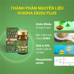 Viên uống bổ não Ichoha Ekisu Plus - Tăng cường trí nhớ và tuần hoàn não với chiết xuất bạch quả và DHA/EPA - 90 viên bổ sung dinh dưỡng thông minh