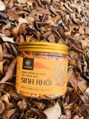 Đông Trùng Hạ Thảo Sinh Khối Khô VnHerbs 15g - Thực Phẩm Chức Năng Tăng Cường Sức Khỏe, Hỗ Trợ Lão Hóa, Cải Thiện Sinh Lý