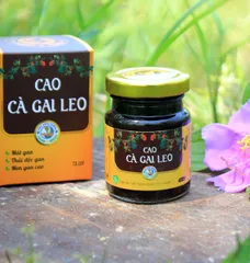 Cao Cà Gai Leo Hỗ Trợ Bổ Gan – Giải Pháp Tự Nhiên Cho Người Bị Viêm Gan, Men Gan Cao – Sản Phẩm HTX Tĩnh Sáng Đường Việt Nam