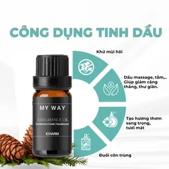 Tinh Dầu Thơm Phòng My Way - Hương Gỗ Đàn Hương Sang Trọng, Tinh Dầu Xông Phòng iCHARM, Thư Giãn & Khử Mùi Tối Ưu