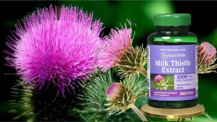 Viên uống hỗ trợ gan Milk Thistle 1000mg Puritan's Pride - 180 viên, Giúp thải độc, tăng cường chức năng gan, hàng nhập Mỹ