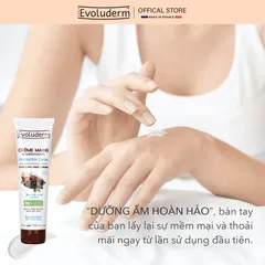 Kem dưỡng ẩm làm mềm bảo vệ da tay chiết xuất Bơ Cacao Evoluderm