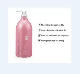 Dầu Gội KUMANO Salonlink 1000ml - Phục Hồi Tóc Hư Tổn, Giảm Rụng Chuyên Dành Cho Tóc Nhuộm, Xuất Xứ Nhật Bản