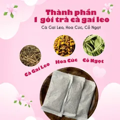 Trà Cà Gai Leo Túi Lọc Từ Siêu Thị Thiên Nhiên