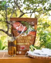 Trà Túi Lọc Thìa Canh Linh Chi Gigaherbs 250g - Hỗ Trợ Ổn Định Đường Huyết, Tăng Cường Miễn Dịch, Giải Độc Gan