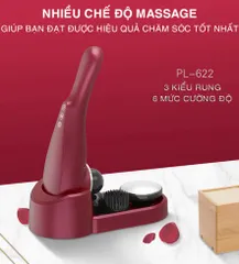 Máy Massage Cầm Tay Rung Nóng Đa Năng Puli PL-622 - 4 Đầu Massage, Sưởi Ấm, Pin Sạc 2600mAh - Giải Pháp Thư Giãn Hiệu Quả