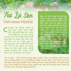 Trà lá sen túi lọc an thần ngủ ngon giảm cân 20 gói - Tâm Minh Foods - Thảo mộc tự nhiên giúp thư giãn và hỗ trợ sức khỏe.
