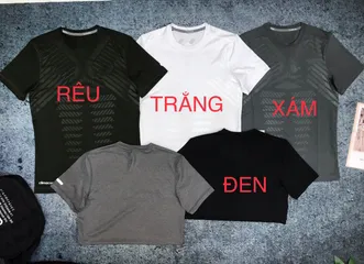 Áo Thun Nam Thể Thao Cổ Tròn Thun Lạnh, Chất Liệu Co Giãn – Phù Hợp Tập Luyện, Đi Chơi, Du Lịch - Nhiều Màu Sắc và Kích Cỡ