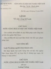 Luật Tư pháp Người Chưa Thành Niên 2024 - Tác giả Quốc Hội, Bìa Mềm, 204 Trang, Cập Nhật Luật Mới Tại Việt Nam