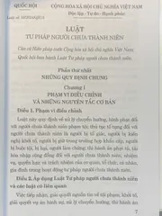 Luật Tư pháp Người Chưa Thành Niên 2024 - Tác giả Quốc Hội, Bìa Mềm, 204 Trang, Cập Nhật Luật Mới Tại Việt Nam