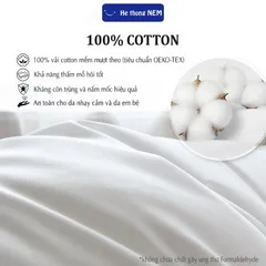 Ruột gối lông vũ nhân tạo Hệ Thống Nệm cao cấp Ruột gối nằm ngủ lông vũ 50x70 40x60 chuẩn khách sạn 5 sao siêu êm ái