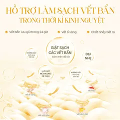 Nước Giặt Đồ Lót Aini Dịu Nhẹ 100ml - Sạch Sâu, An Toàn Cho Da Nhạy Cảm, Hương Thơm Dễ Chịu, Phù Hợp Với Pha Nguyên Liệu Tự Nhiên