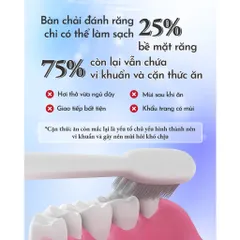 Set 5 Gói Nước Súc Miệng Diệt Khuẩn Anriea Bạc Hà - Kháng Khuẩn, Không Cồn, Sạch Sâu Hơi Thở Thơm Mát