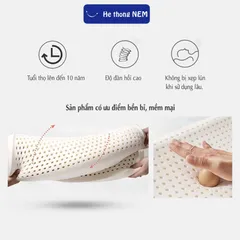Gối Cao Su Non Chống Đau Vai Gáy - Giúp Ngủ Ngon, Thoáng Khí, Êm Ái, Giá Tốt, Bảo Hành 24 Tháng