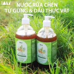 Nước rửa chén thảo mộc tự nhiên 500ml - Dầu thực vật và tinh dầu gừng, an toàn sức khỏe, thân thiện môi trường, khử mùi hiệu quả