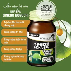 Viên uống bổ não DHA Ginkgo Noguchi 60 viên - Cải thiện trí nhớ và tập trung với chiết xuất Ginkgo Biloba từ Nhật Bản