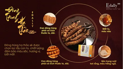 Tinh Chất Đông Trùng Hạ Thảo Edally BH - Tăng Cường Sức Đề Kháng, Giảm Mệt Mỏi, Hỗ Trợ Hô Hấp Từ Thiên Nhiên - 30 Gói (60ml)
