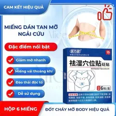 Miếng Dán Tan Mỡ Ngải Cứu Đông Y Hộp 6 Miếng - Giảm Mỡ Bụng, Eo, Đùi, Tự Nhiên, Hỗ Trợ Giảm Cân Hiệu Quả