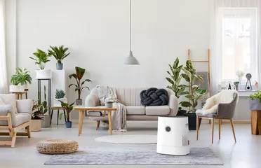 Máy lọc không khí kết hợp tạo độ ẩm BONECO H320