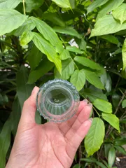 Hũ Thủy Tinh Làm Sữa Chua 100ml - Chứa Đựng Pudding, Đồ Ăn Dặm Kèm Nắp Đậy - Lựa Chọn Vệ Sinh Và Tiện Lợi Cho Gia Đình