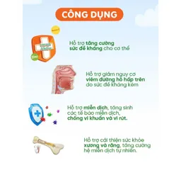 Siro NippiKid ImunAktiv Tăng Cường Đề Kháng Cho Bé 100ml - Giúp Ngăn Ngừa Viêm Đường Hô Hấp, Hỗ Trợ Sức Khỏe Trẻ Em
