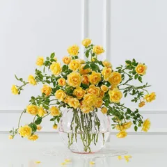 Lọ Hoa Bohemia Optika Đường Kính 25,5cm - Lọ Cắm Hoa Sang Trọng, Phong Cách Hiện Đại, Trang Trí Phòng Khách Thẩm Mỹ Cao