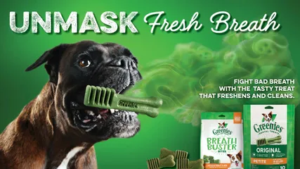 Bánh thưởng Greenies Original Petite cho chó - Bánh nhai dinh dưỡng tốt cho răng miệng, giúp hơi thở thơm mát, phù hợp cho chó từ 7-11kg