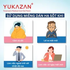 Miếng Dán Hạ Sốt, Hạ Nhiệt Hydrogel Yukazan Dành Cho Người Lớn - Gói 2 Miếng